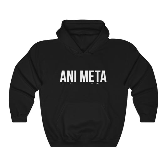 ANI META - Unisex Heavy Blend™ Hooded Sweatshirt